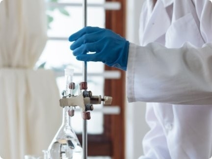 Các giải pháp mới nhất về công ty Hành động về khí hậu: Các nước cam kết bảo vệ rừng nhiệt đới Amazon